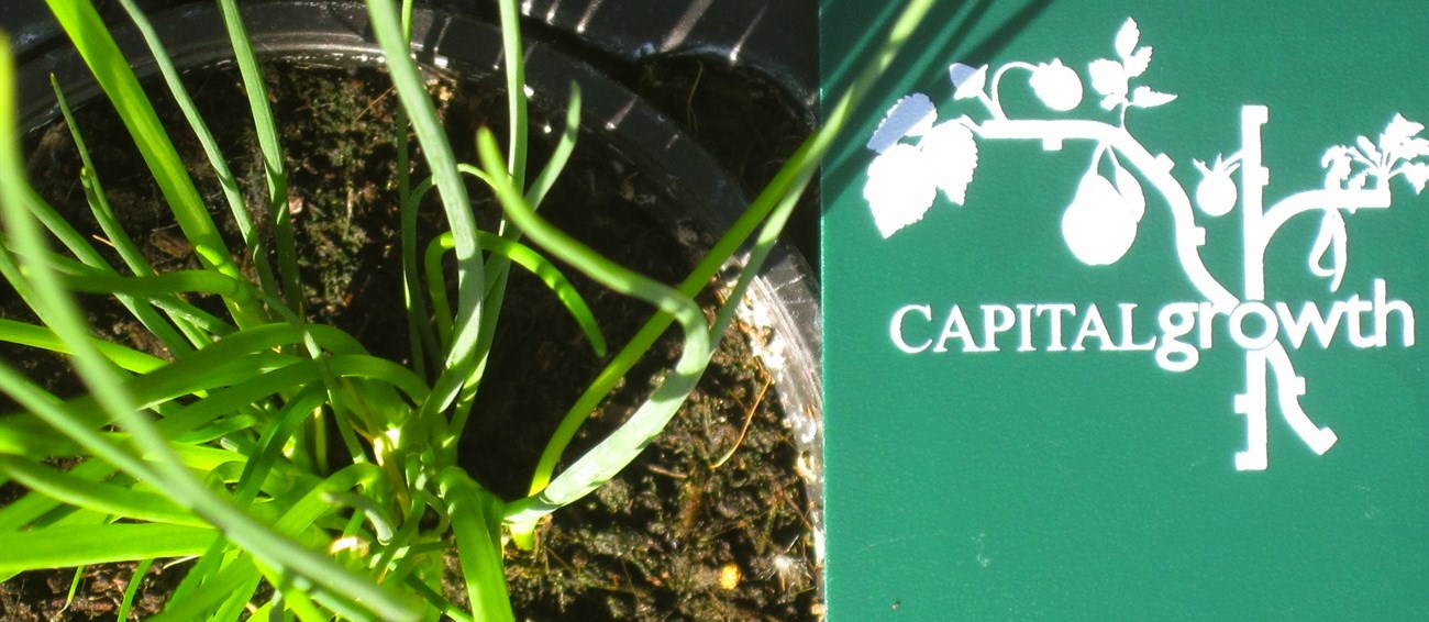 Getting the capital growing